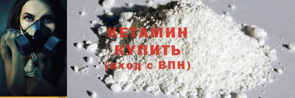 прущие грибы Волоколамск