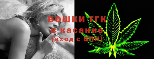 прущие грибы Волоколамск