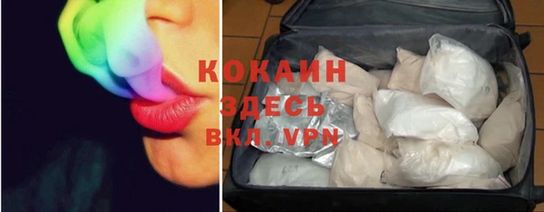 прущие грибы Волоколамск