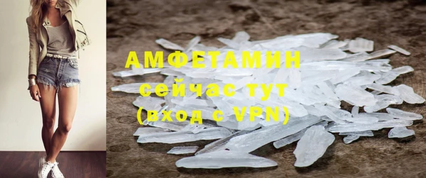 прущие грибы Волоколамск