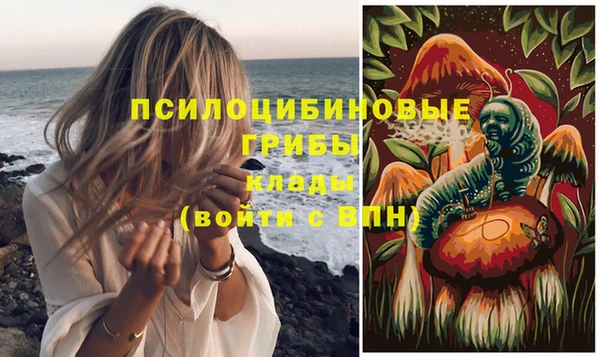 прущие грибы Волоколамск