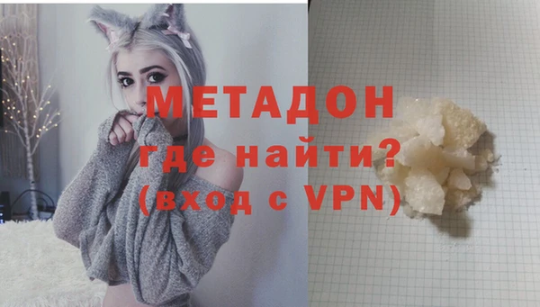 прущие грибы Волоколамск