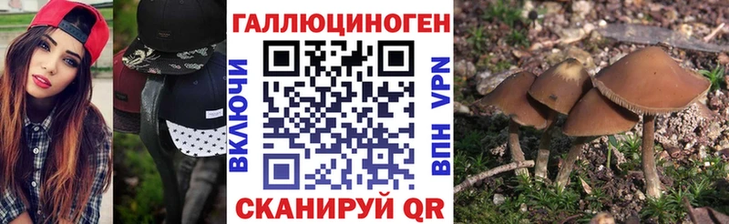 Псилоцибиновые грибы Magic Shrooms  Электросталь 